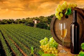 carel_industria_vincola_2703201812.jpg