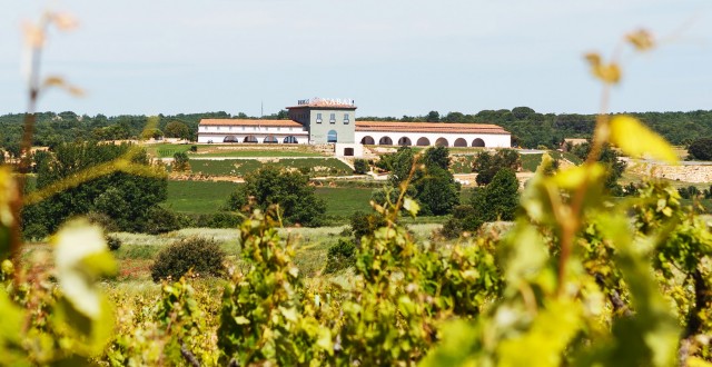 bodegasnabal_riberadelduero.jpg