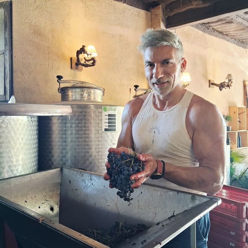 Selección manual de la uva durante la vendimia 2026 de Alkimia Wines.