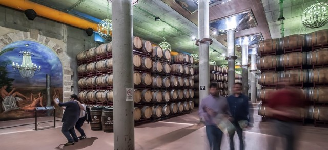 Museo del Vino Pagos del Rey