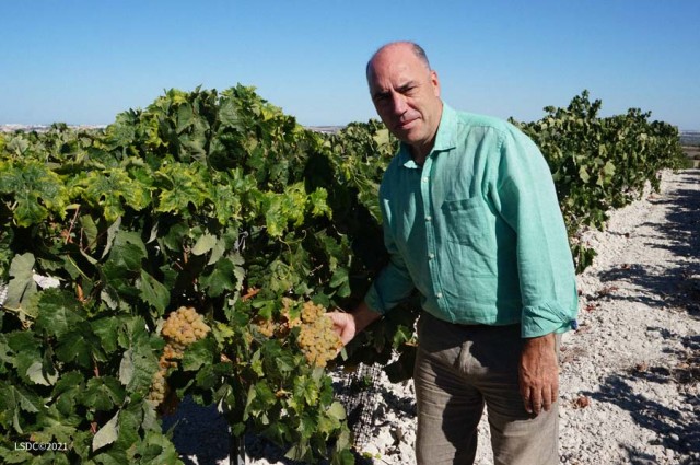 Luis Flor, Presidente de la Sociedad Jerezana del Vino. Fotografía realizada por Francisco J. Becerra.