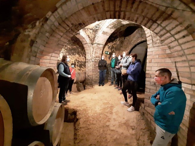 Bodega Remigio de Salas - Ruta del Vino Cigales