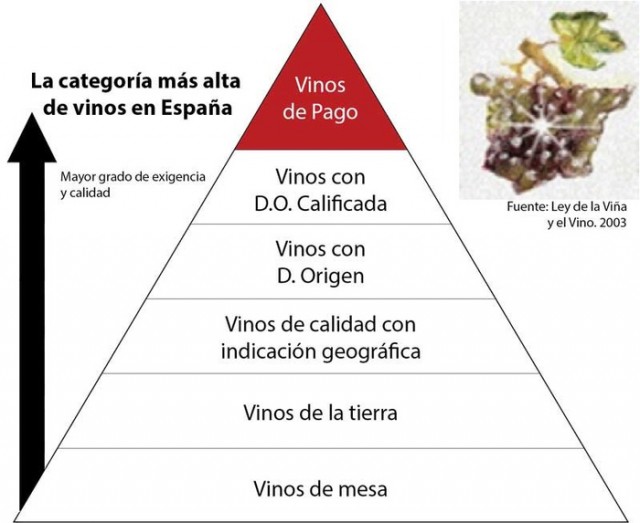 pirmidecalidadesdelvino.jpg