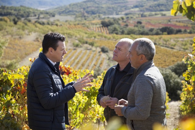 Fotograma del capítulo sobre la garnacha aragonesa