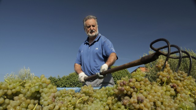 vb_enoturismo_viticultores_2.jpg