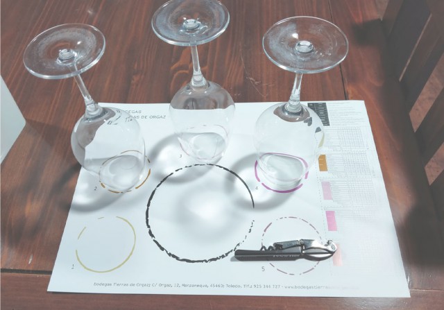 Cata de vino Bodegas tierras de Orgaz