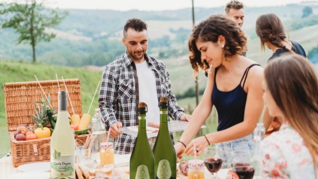 vinosparaelverano1.jpg