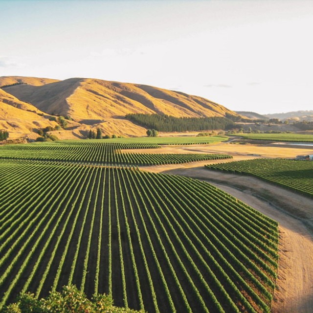1_wairarapacraggyrange1.jpg