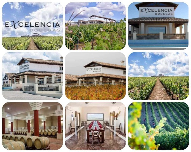 1_excelenciabodegaenoturismo.jpg