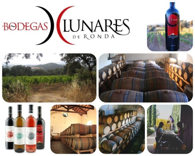 bodegaloslunares.jpg