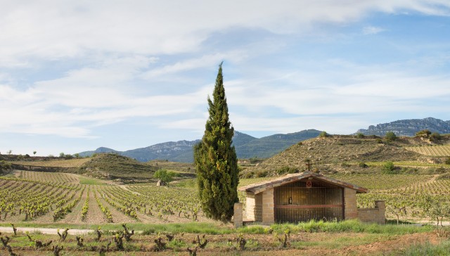foto_1_finca_el_regalo.jpg