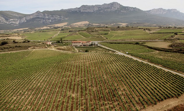bodegasgarciadeolanopaganos.jpg