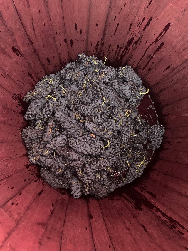 primera-elaboracion-bodegas-manzanos-haro-2.jpg