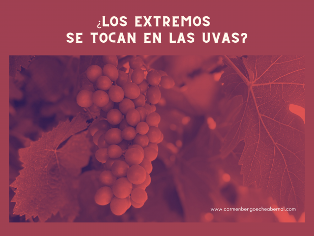 losextremossetocanenlasuvas_carmenbengoecheabernal.png