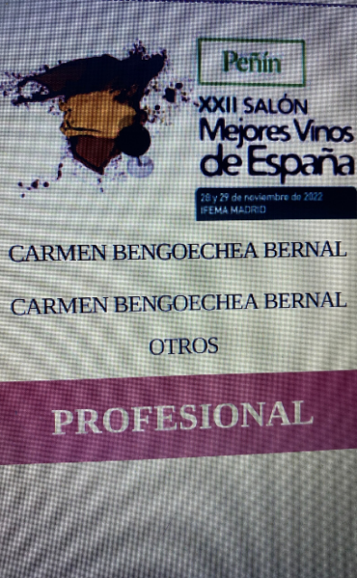 pen_carmenbengoecheabernal.png