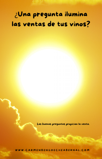 unabuenapreguntapropicialaventadetusvinos_carmenbengoecheabernal.png
