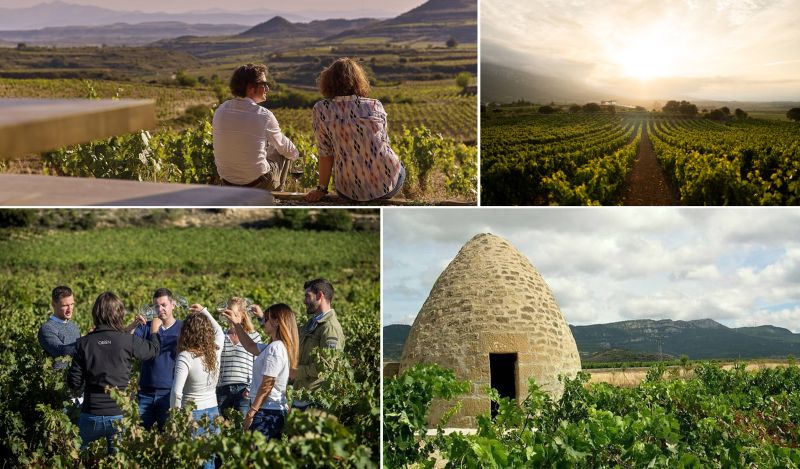 De bodegas subterráneas a hoteles de diseño: cuatro viajes exclusivos para vivir Rioja Alavesa