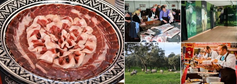Villanueva de Córdoba se une a la Red de Pueblos Gastronómicos como primer gastrodestino de Andalucía
