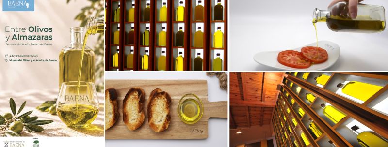 Baena estrena el aceite fresco con tres citas en noviembre para saborear el olivar