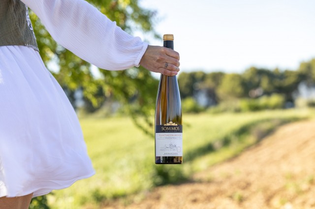 sommos-gewrztraminer-premios-baco-20261.jpg