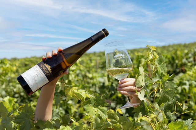 sommos-gewrztraminer-premios-baco-20262.jpg