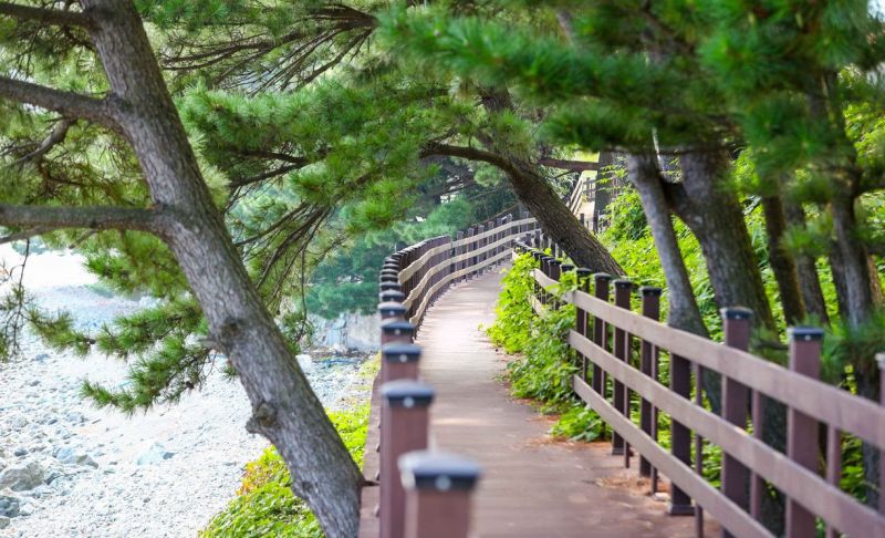 Corea esconde una red de senderos 5,7 veces más larga que el Camino de Santiago