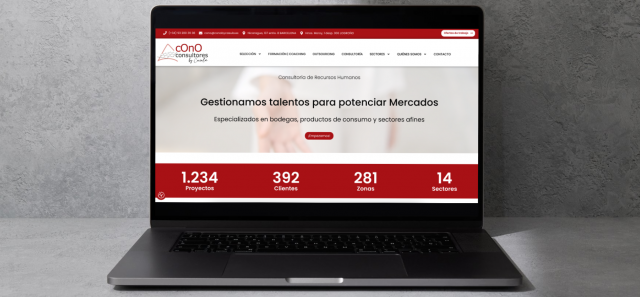 webconoconsultoresbycasula.png