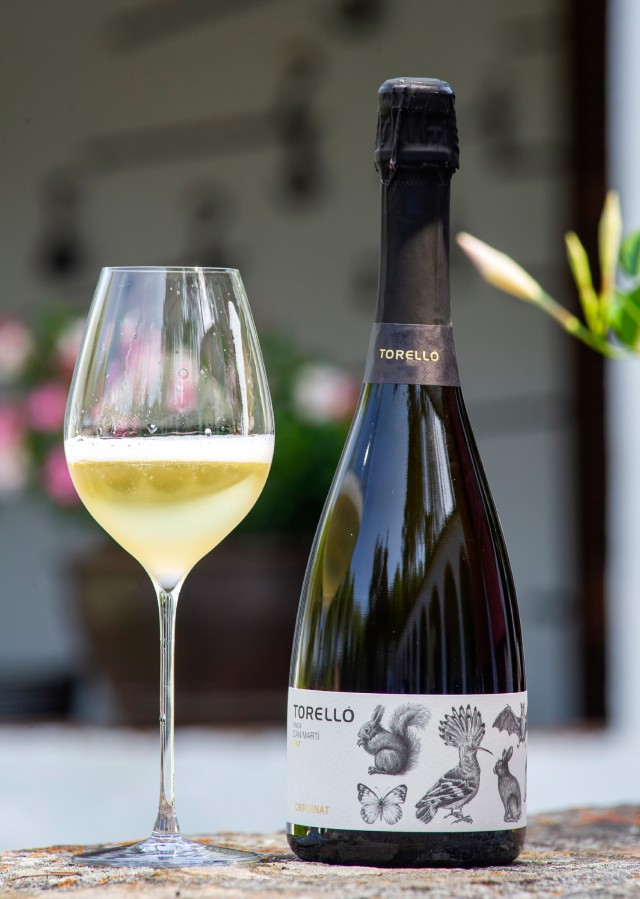 fincacanmartgarnachaesp.jpg