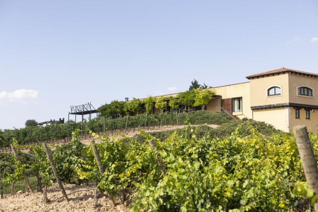 valdubon_grupoferrerwines00.jpg