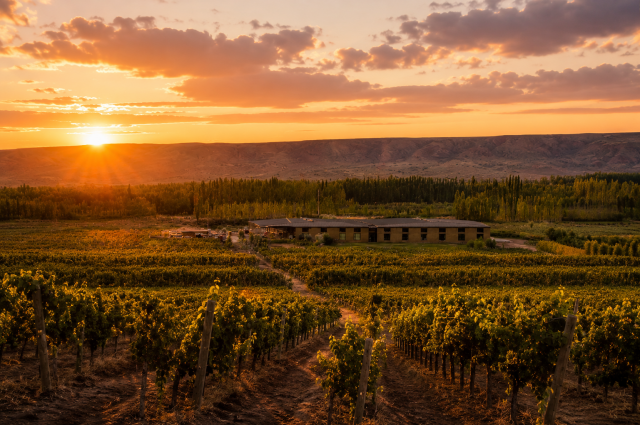 bodega-neuquen-atardecer.png