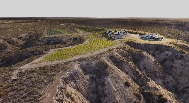 estancia-las-bardas-vinedo-trelew-chubu.jpg
