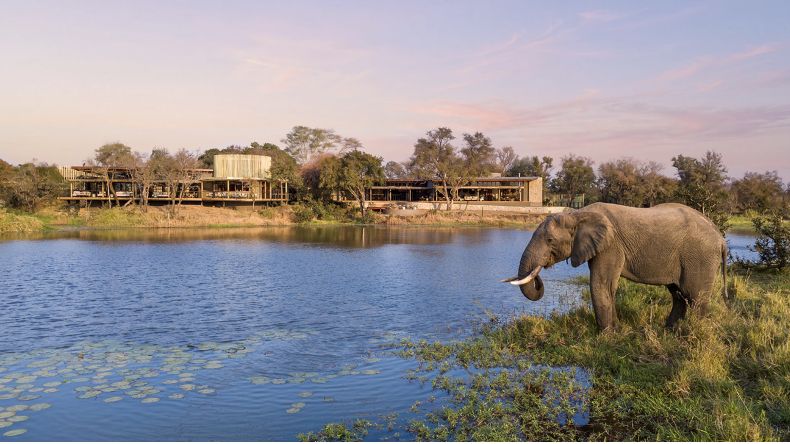 Suites de lujo y safaris conscientes con el entorno: Sandringham Private Game Reserve, la nueva joya del Gran Kruger
