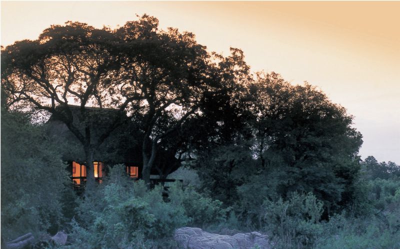 ¿Por qué Sudáfrica es el destino perfecto para un “solo trip”? Little Bush Camp, el refugio más íntimo de la sabana