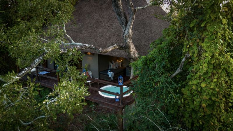 ¿Por qué Sudáfrica es el destino perfecto para un “solo trip”? Little Bush Camp, el refugio más íntimo de la sabana