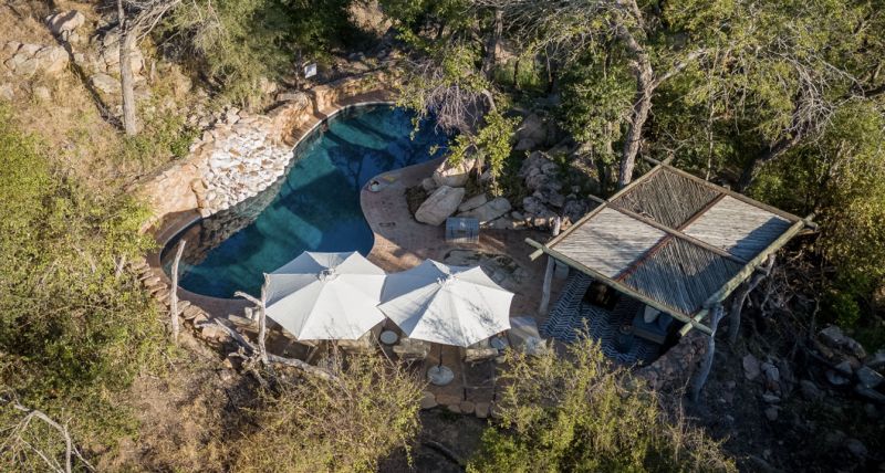¿Por qué Sudáfrica es el destino perfecto para un “solo trip”? Little Bush Camp, el refugio más íntimo de la sabana