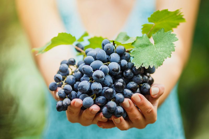 California Bill Would Tighten Rules for Wines Labeled American