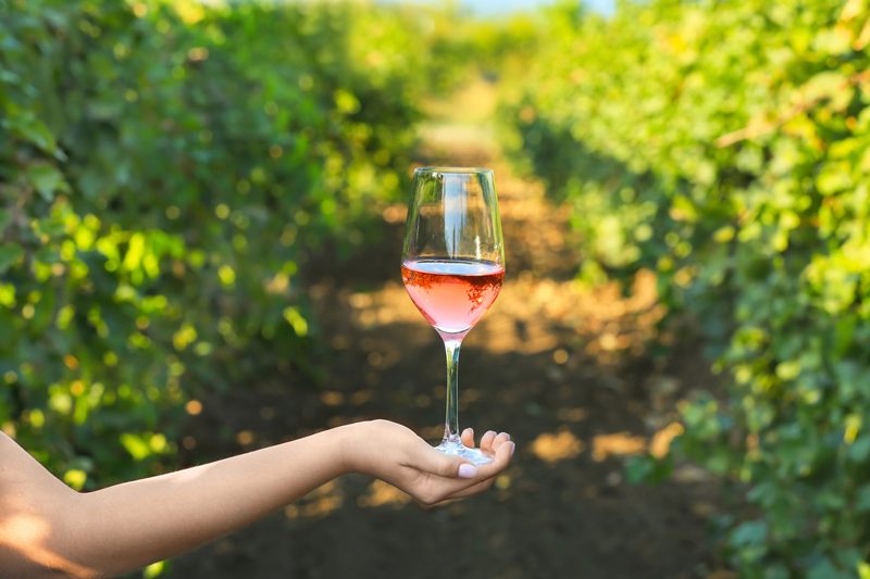 Alcohol-Free Rosé Gains Ground in Britain