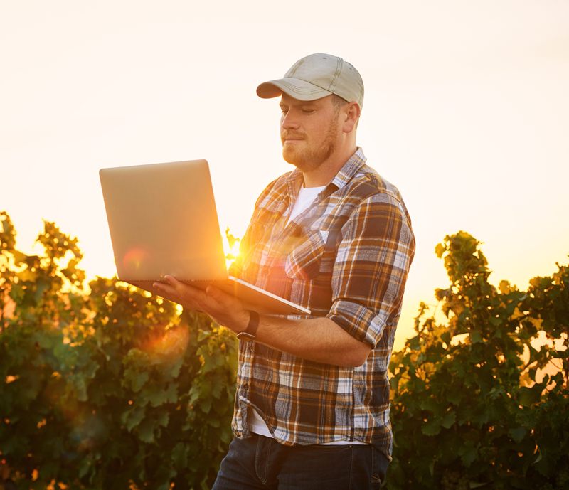 Growers Demand Research That Solves Vineyard Problems