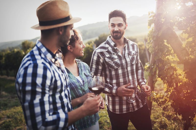 Sicily Bets on Wine Tourism to Revive Its Industry