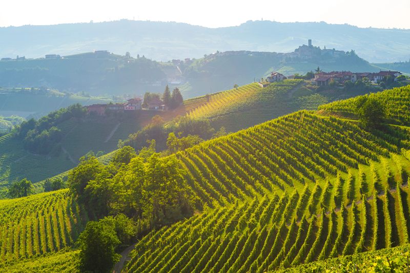 Italys Wine Inventories Rise to 52.5 Million Hectoliters