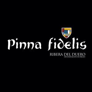 Pinna Fidelis