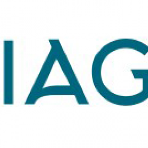INTERNATIONAL AUCTION GROUP