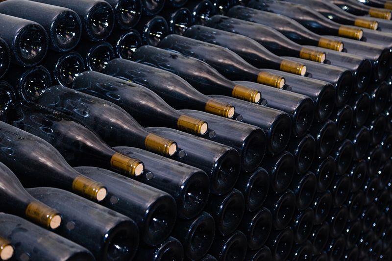 Italy begins 2026 wine harvest with stocks up 6.9%