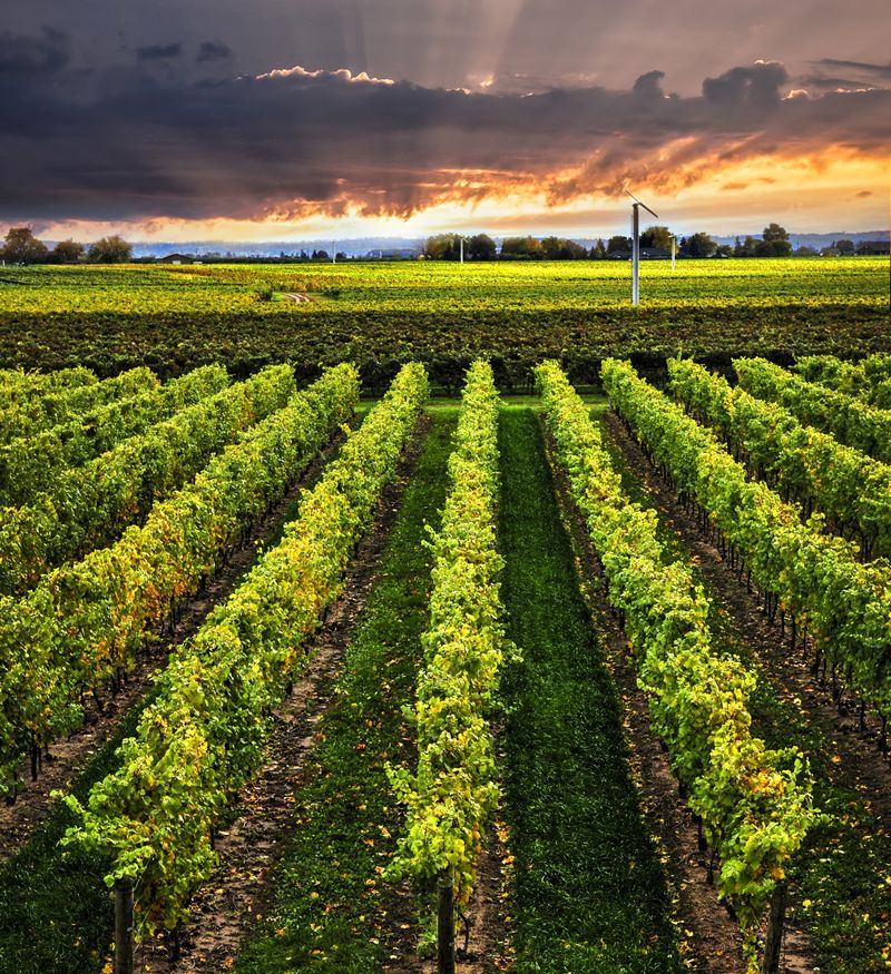La Rioja bewilligt 1,51 Millionen Euro für acht Modernisierungsprojekte in Kellereien