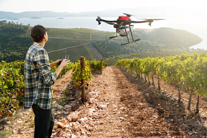 La Ribeira Sacra usa drones por primera vez en la vendimia