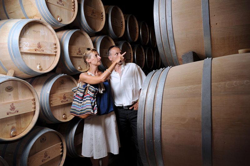 Moriles convierte su cata del vino en una cita repartida entre pabellón, bodegas y lagares