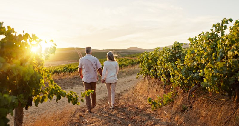Napa Valley tourism generated $2.8 billion in 2025, up 2.9%.