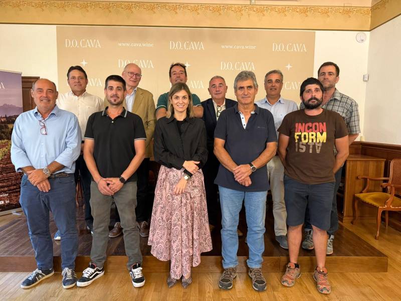 La D.O. Cava lanza un plan para ajustar la producción a la demanda real