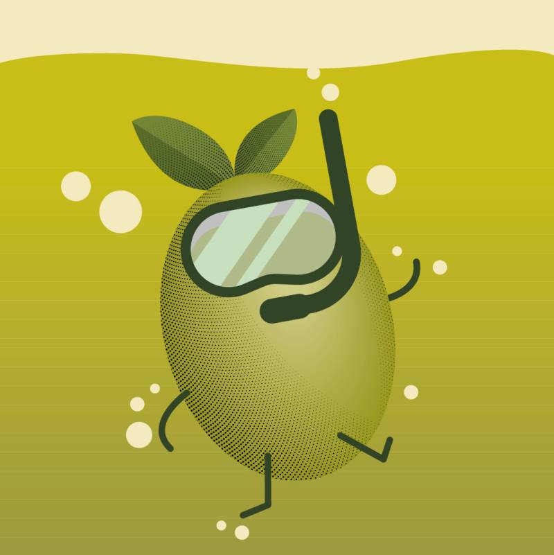Global olive oil output is set to exceed demand in 2026/27