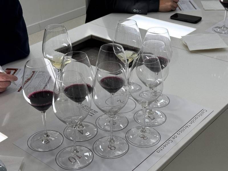 Ribera del Duero reúne a diez expertos para examinar la calidad de la nueva añada